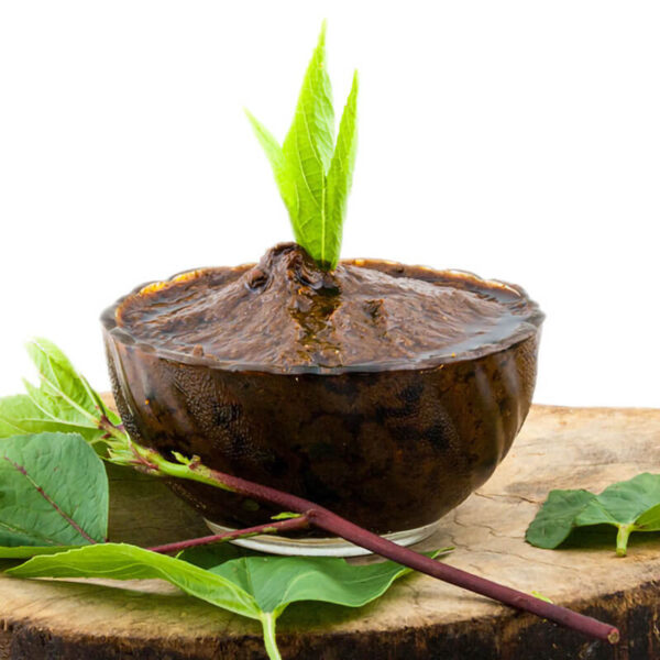 Gongura Pickle view 2